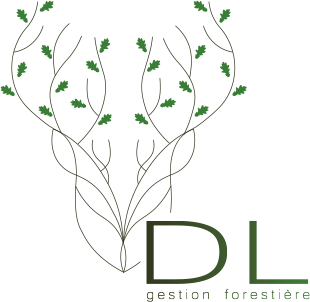 DL gestion forestière